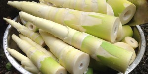 mang-tuoi-1-0836